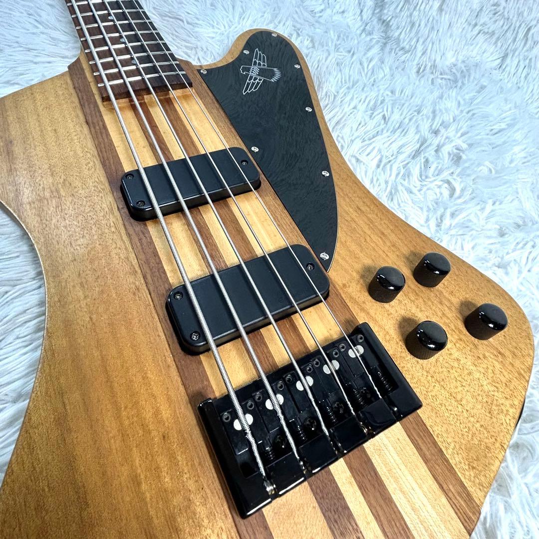 【激レア】Epiphone Thunder Bird Pro 5弦 アクティブ