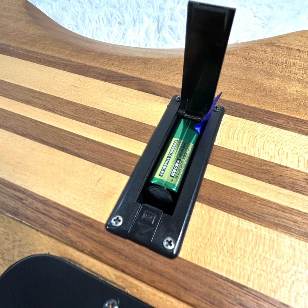 【激レア】Epiphone Thunder Bird Pro 5弦 アクティブ