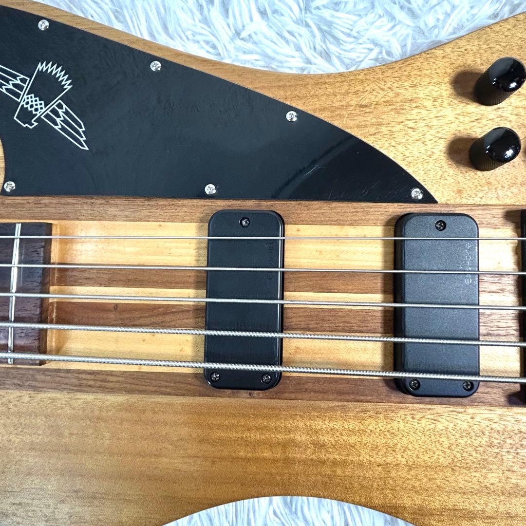 【激レア】Epiphone Thunder Bird Pro 5弦 アクティブ