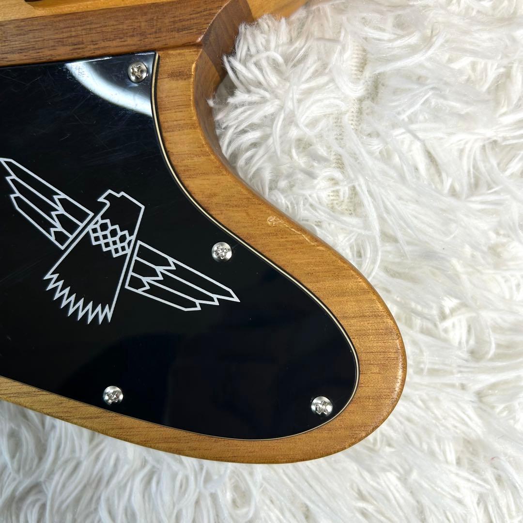 【激レア】Epiphone Thunder Bird Pro 5弦 アクティブ