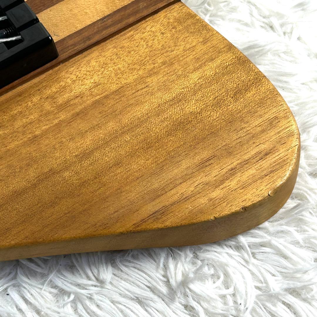 【激レア】Epiphone Thunder Bird Pro 5弦 アクティブ