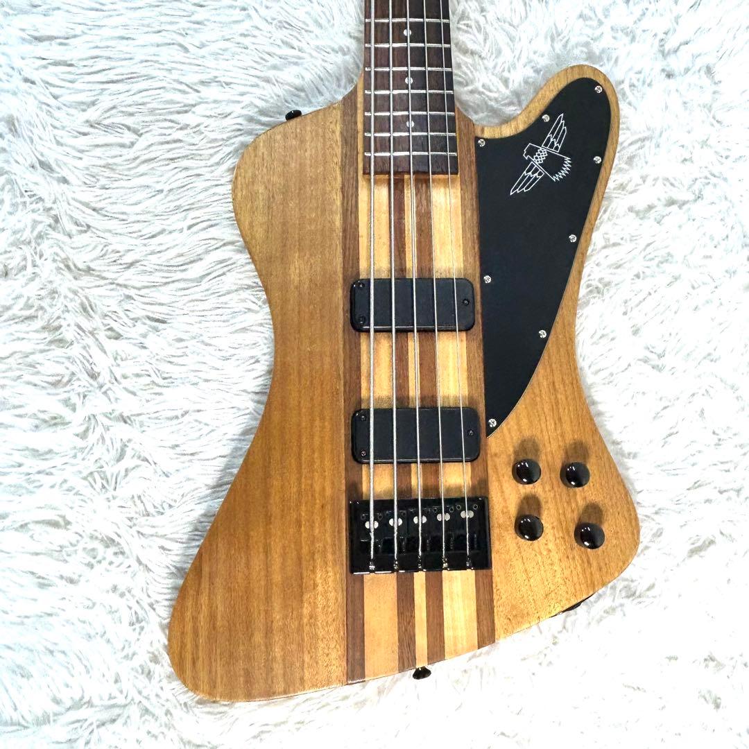【激レア】Epiphone Thunder Bird Pro 5弦 アクティブ