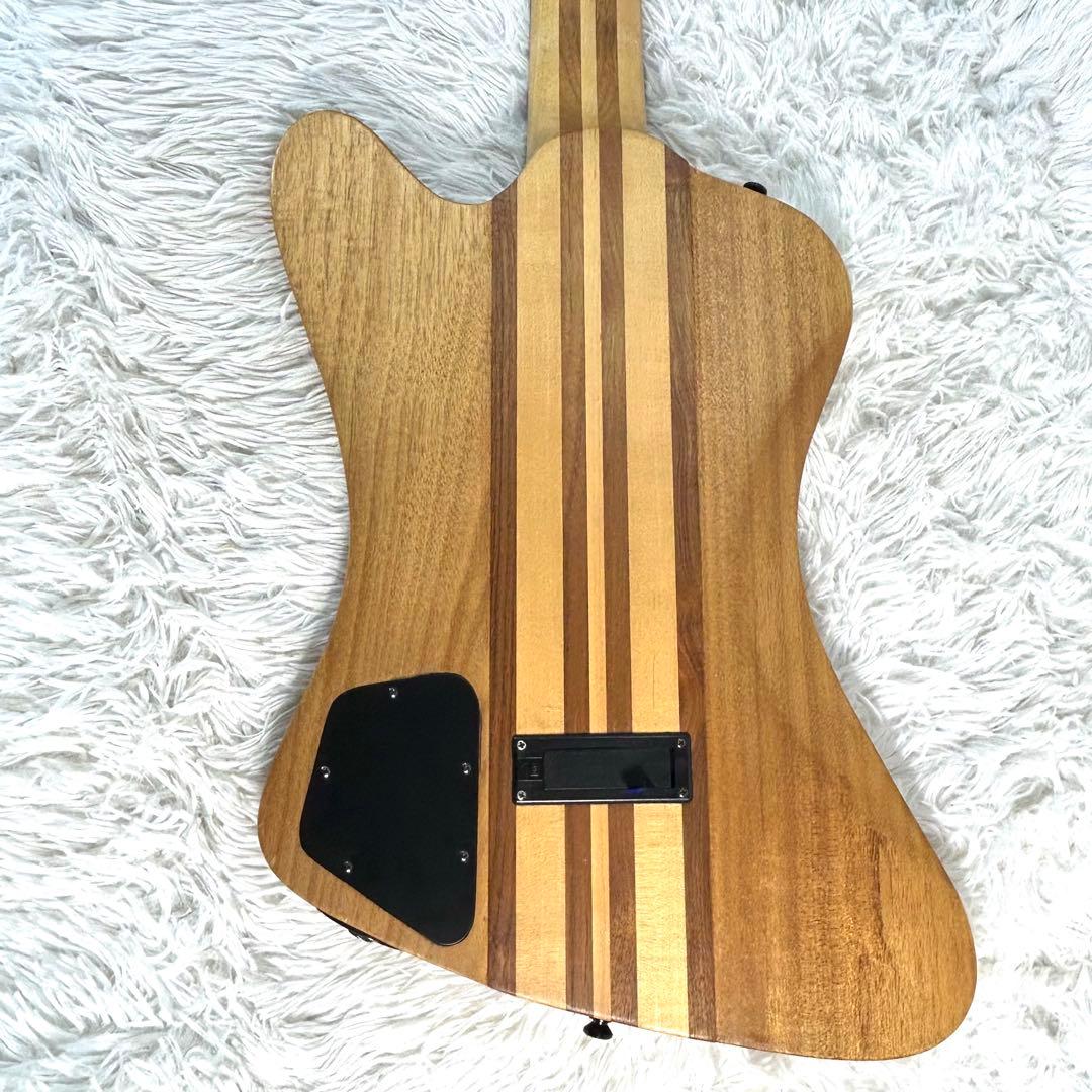 【激レア】Epiphone Thunder Bird Pro 5弦 アクティブ