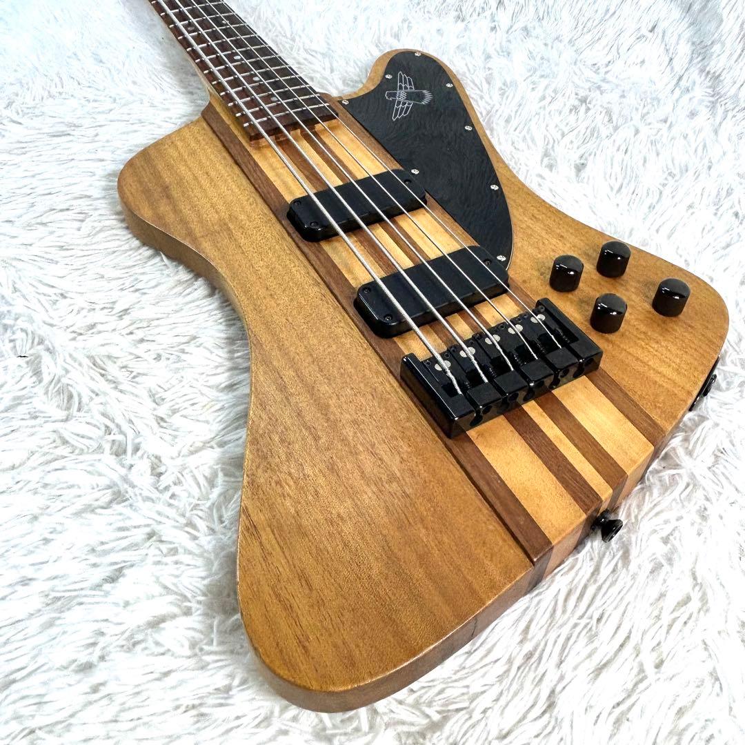 【激レア】Epiphone Thunder Bird Pro 5弦 アクティブ