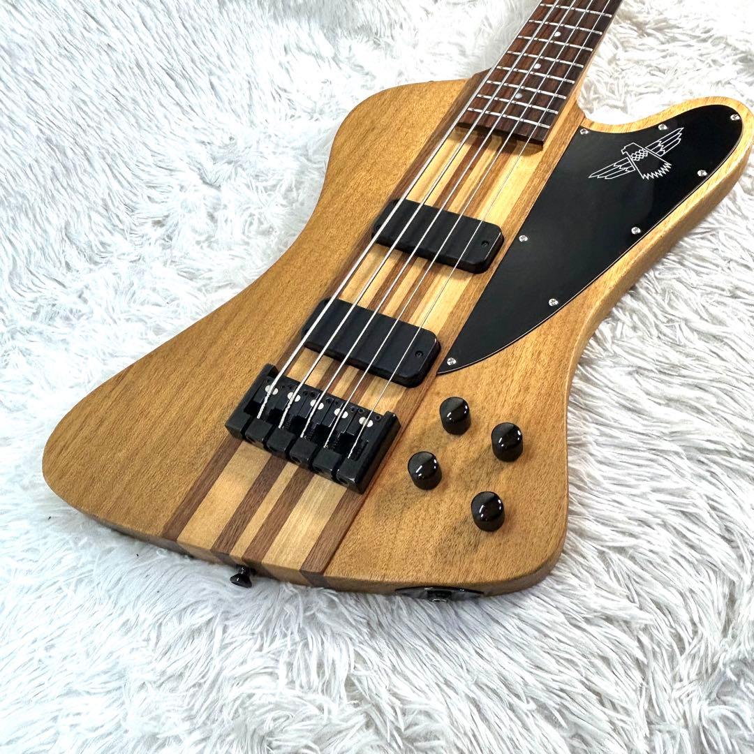 【激レア】Epiphone Thunder Bird Pro 5弦 アクティブ