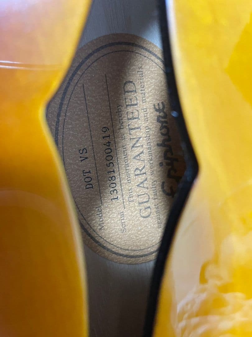 Epiphone Dot ギグバッグ・弦セット