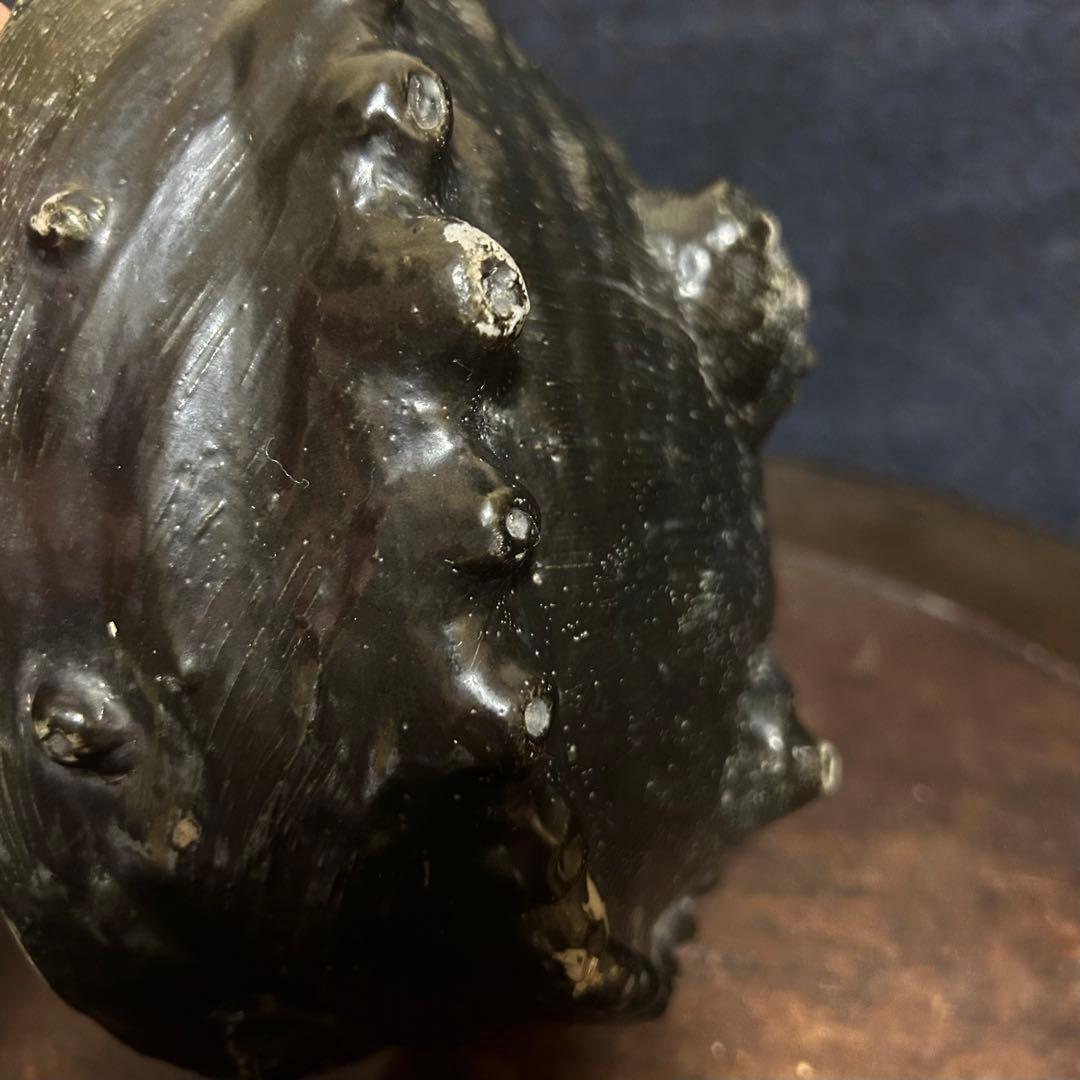 珍品古伊万里（平戸焼、湖東焼？）　あわび型の変形皿　無傷　本物保証