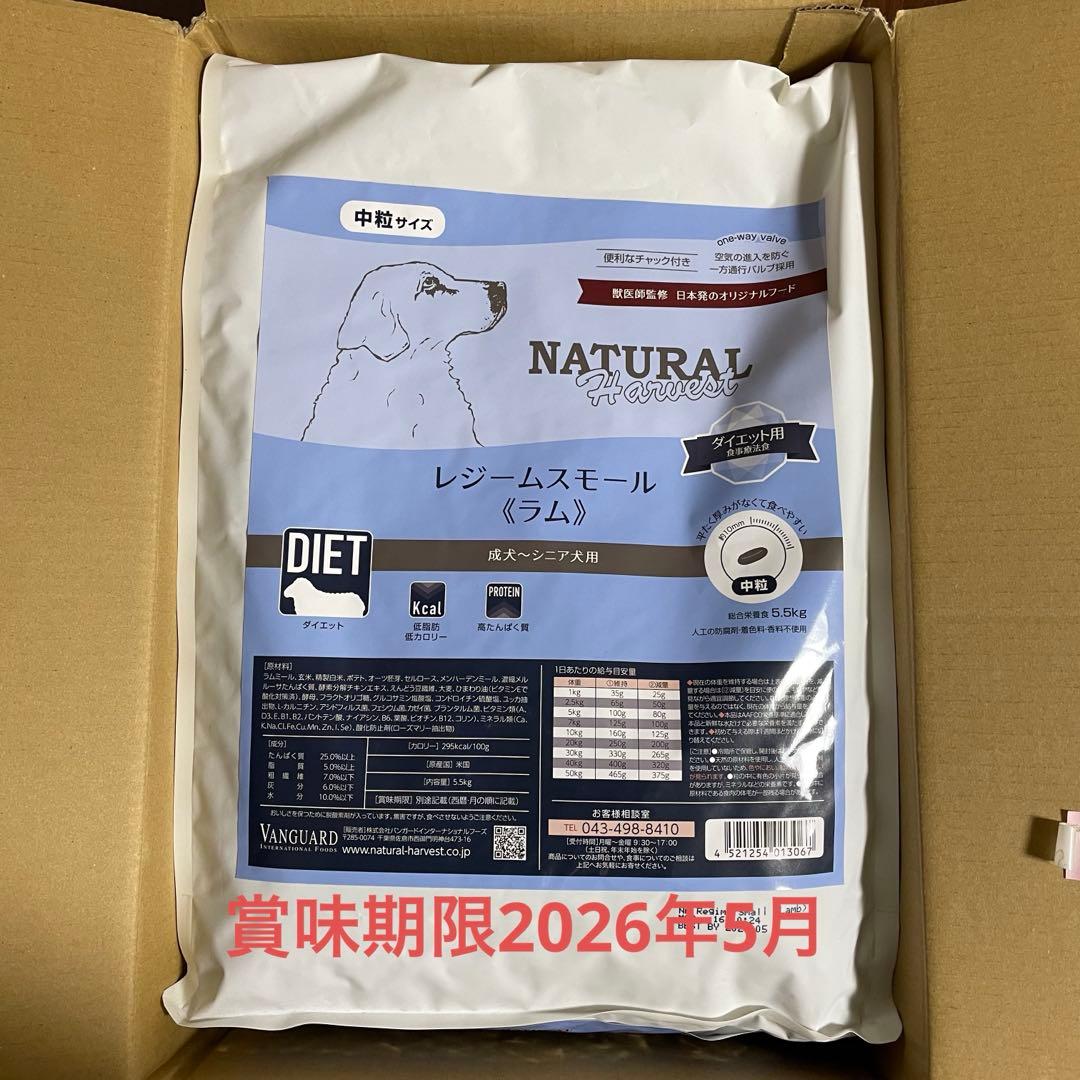 未開封VANGUARD レジームスモール（ラム） 中型犬用ドライフード5.5kg