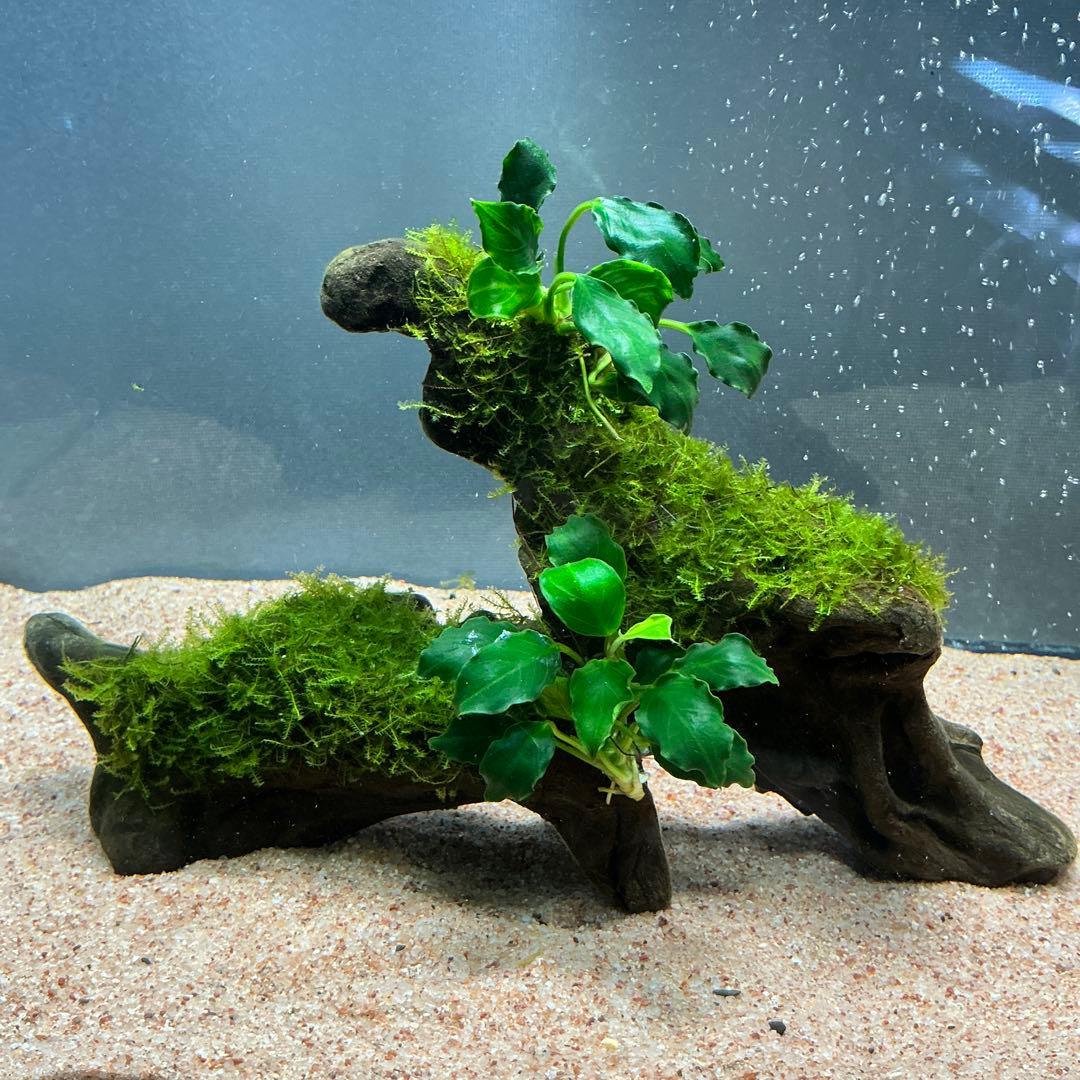 マサムネ様 リクエスト 3点 まとめ商品