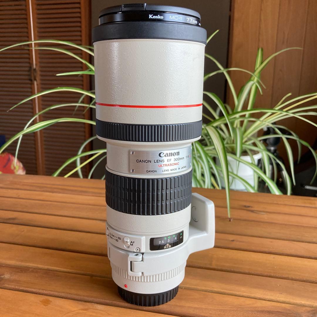 C anon EF300㎜　F4L USM 手ブレ補正機構なし