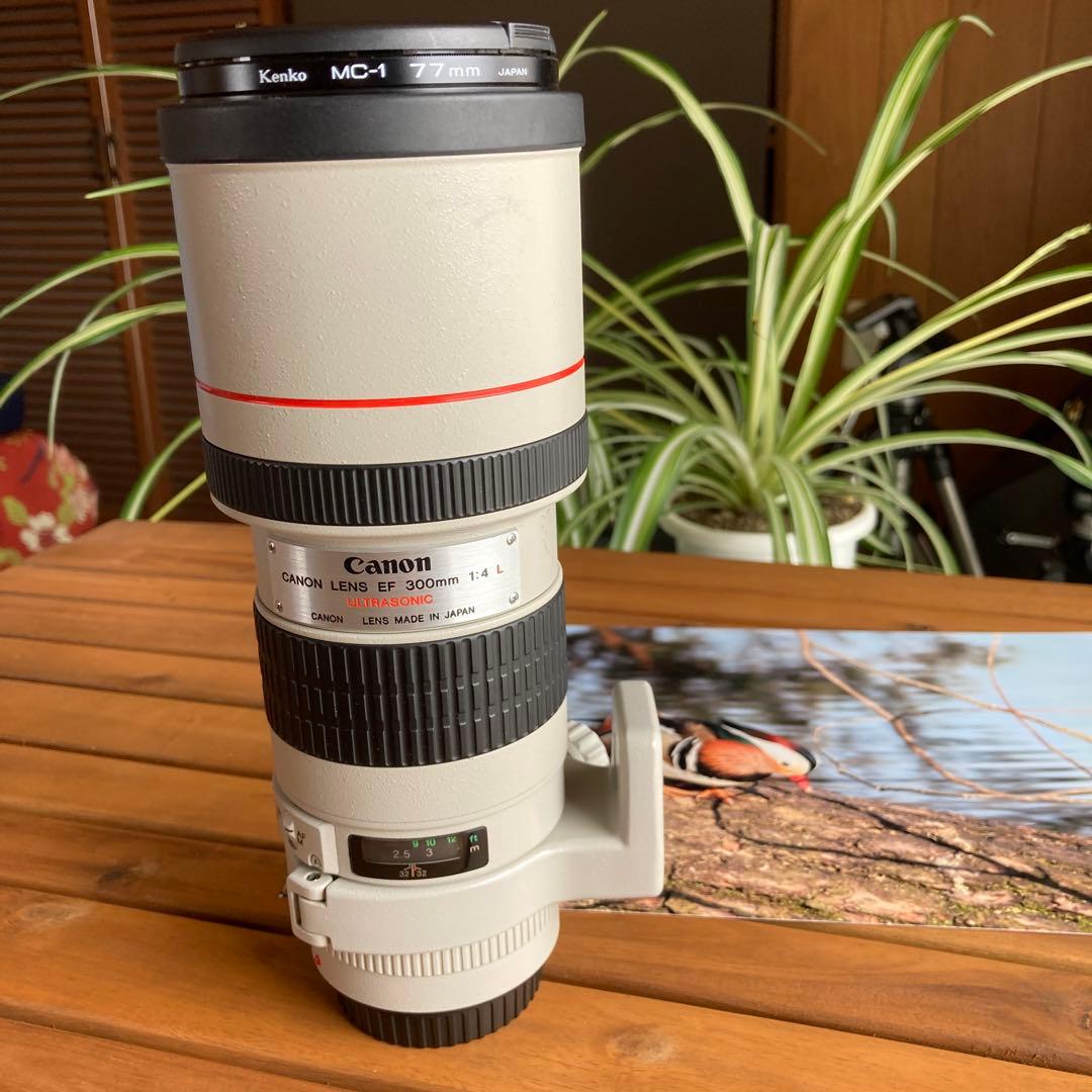 C anon EF300㎜　F4L USM 手ブレ補正機構なし