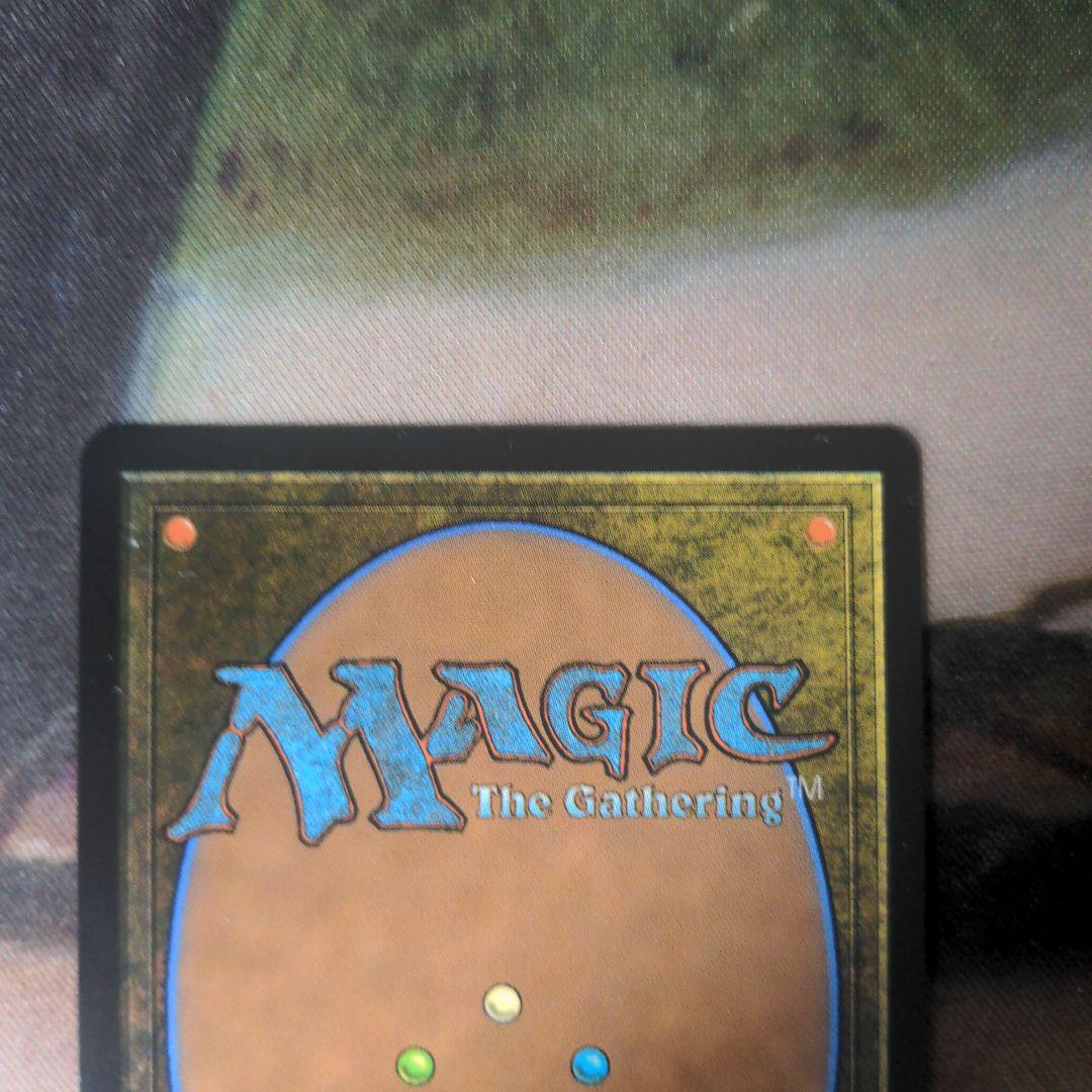 MTG　霧深い雨林/Misty Rainforest　ドラゴンスケイルFoil