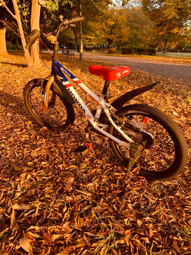 HONDA Ｄ-bike ／ディーバイク 子供用自転車 トリコロールカラー