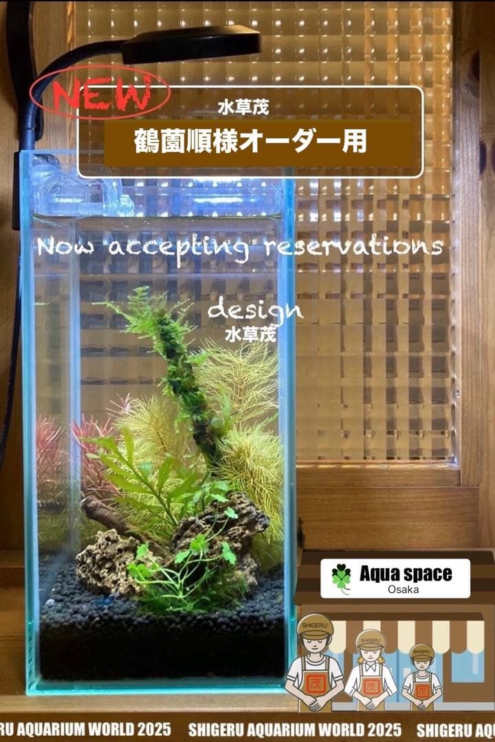 水草茂「鶴薗順様オーダー用」