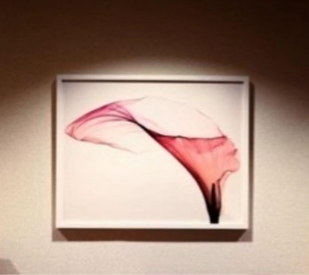 花の抽象画 ピンクとホワイト