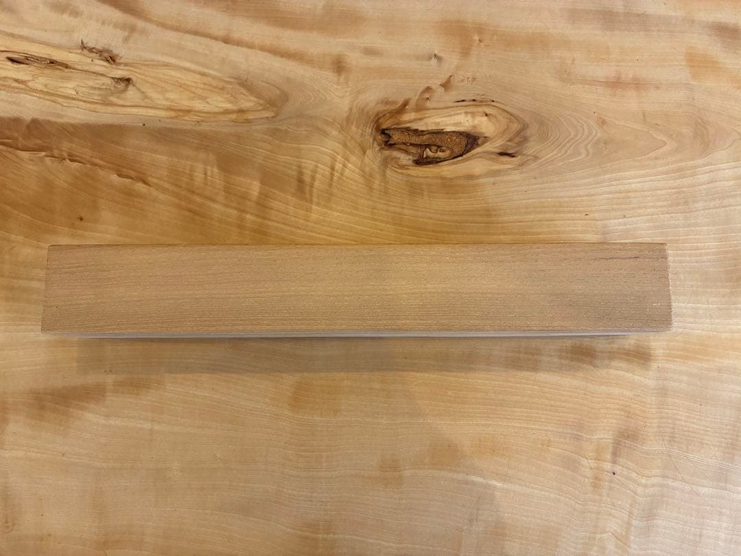 裏千家14世淡々斎宗室 自筆 掛軸 掛け軸