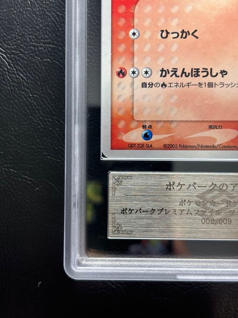 【ARS9】ポケパークのアチャモ 002/009