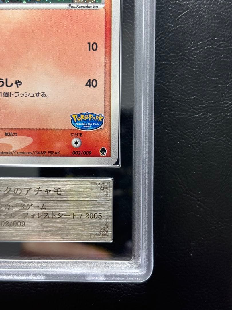 【ARS9】ポケパークのアチャモ 002/009