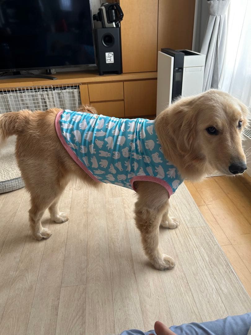 確認用　購入不可