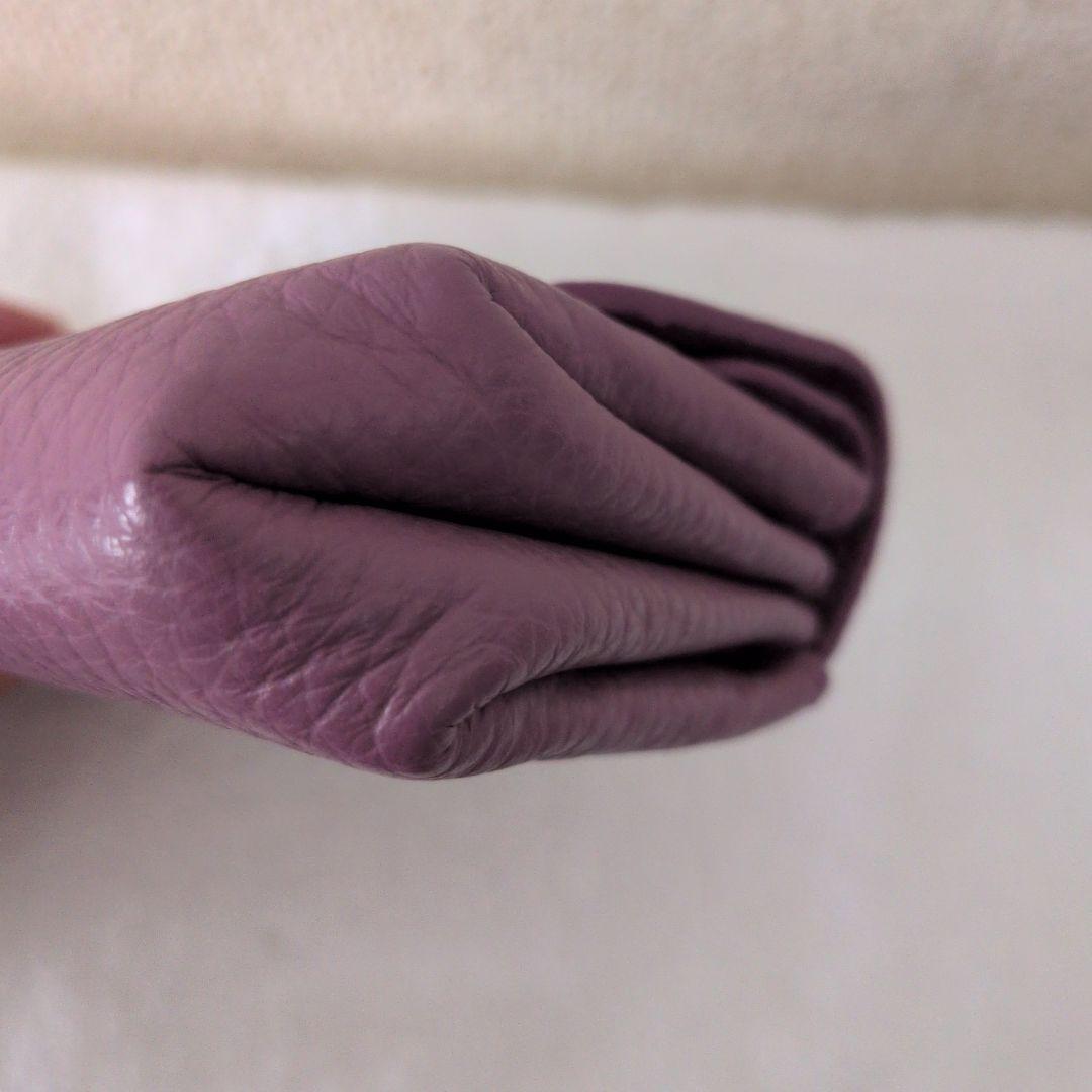 【ほぼ未使用】イアクッチ IACUCCIアバ ウォレット CERVO財布