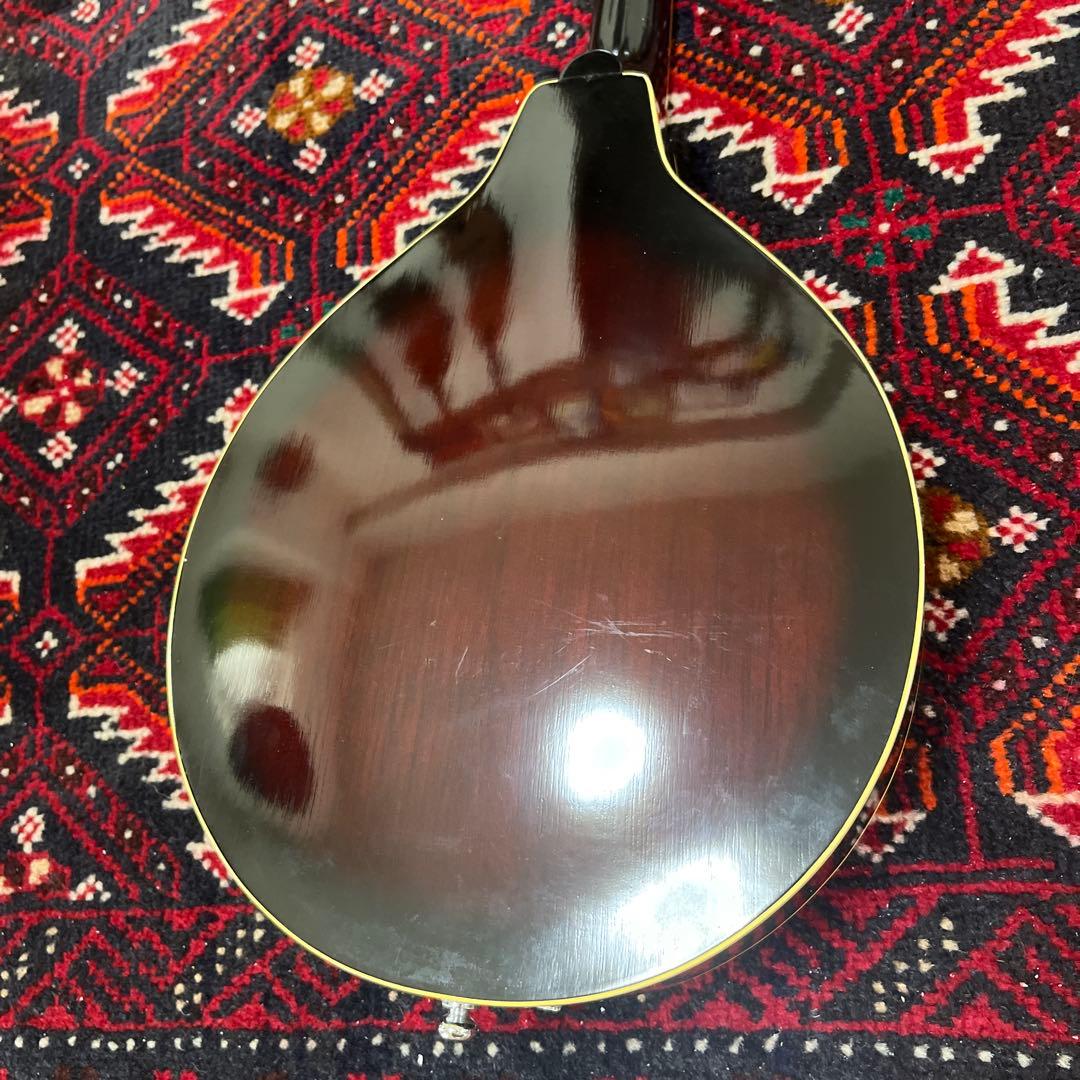 JUMBO 田原楽器　フラットマンドリン