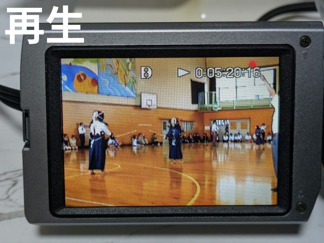 【豪華セット】SONY　DCR-TRV310　Digital8　8mm対応