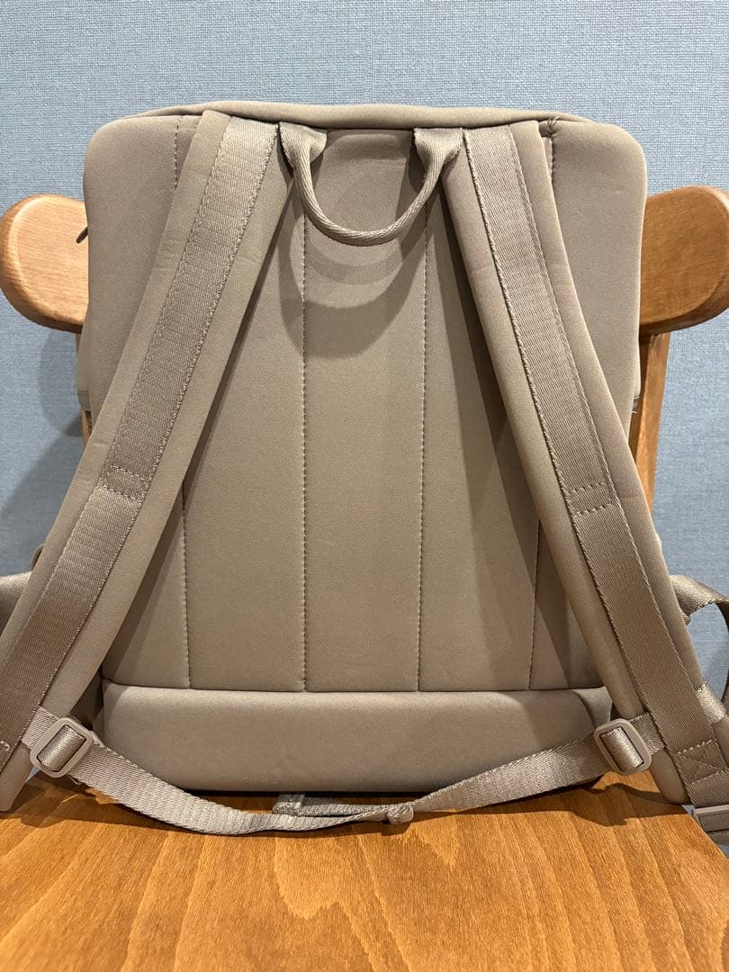 CITYDOG ベージュ キャリーバッグ