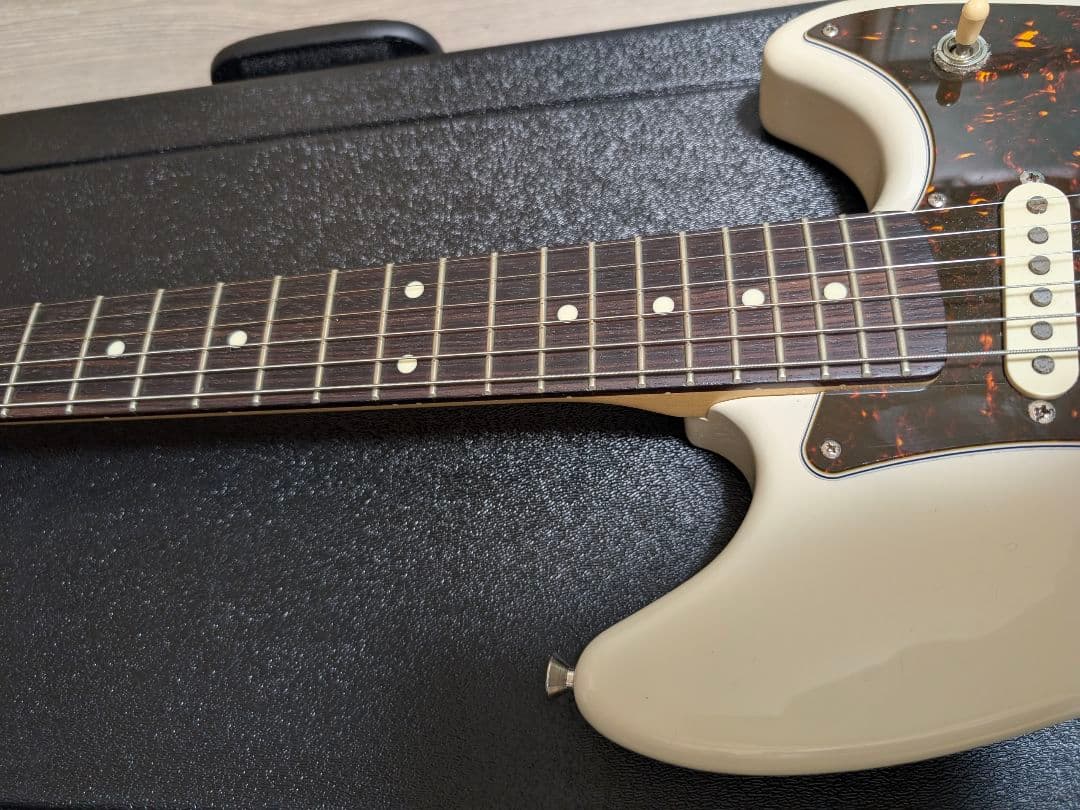 フジゲン　サイクロン　nccy