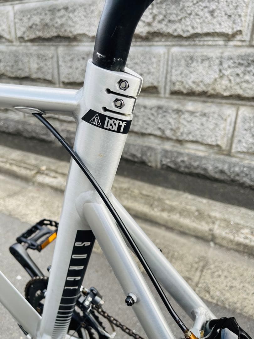 ノアページ　Tern Surge ターン サージュ ミニベロ