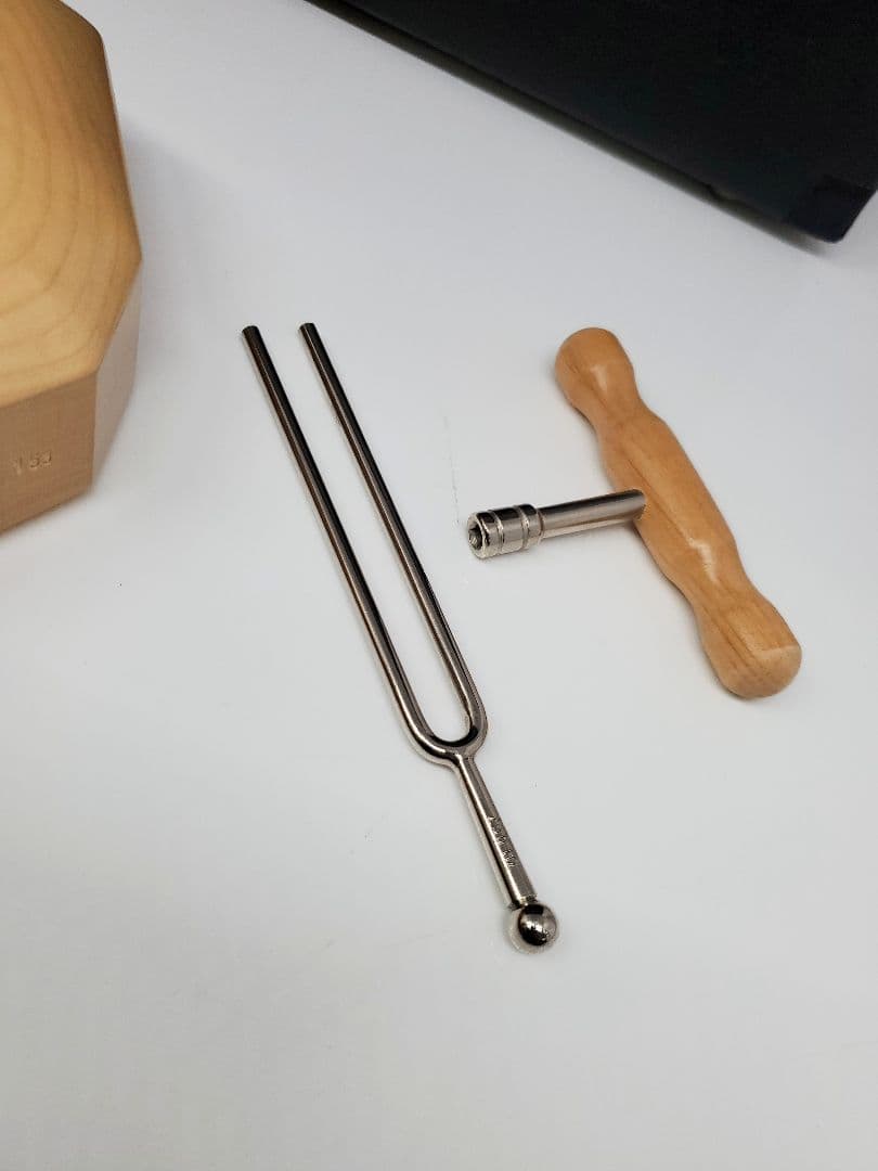 CHOROI(コロイ) 12弦 キンダーライアー　ハープ　ドイツ製　ケース付