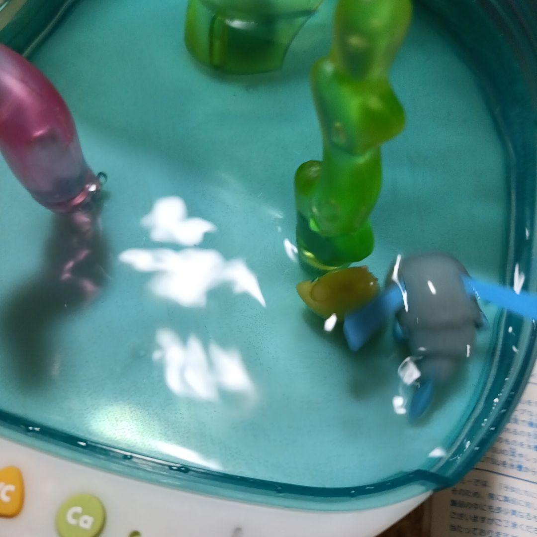 美品 ウォータールーパームツ TOMY トミー