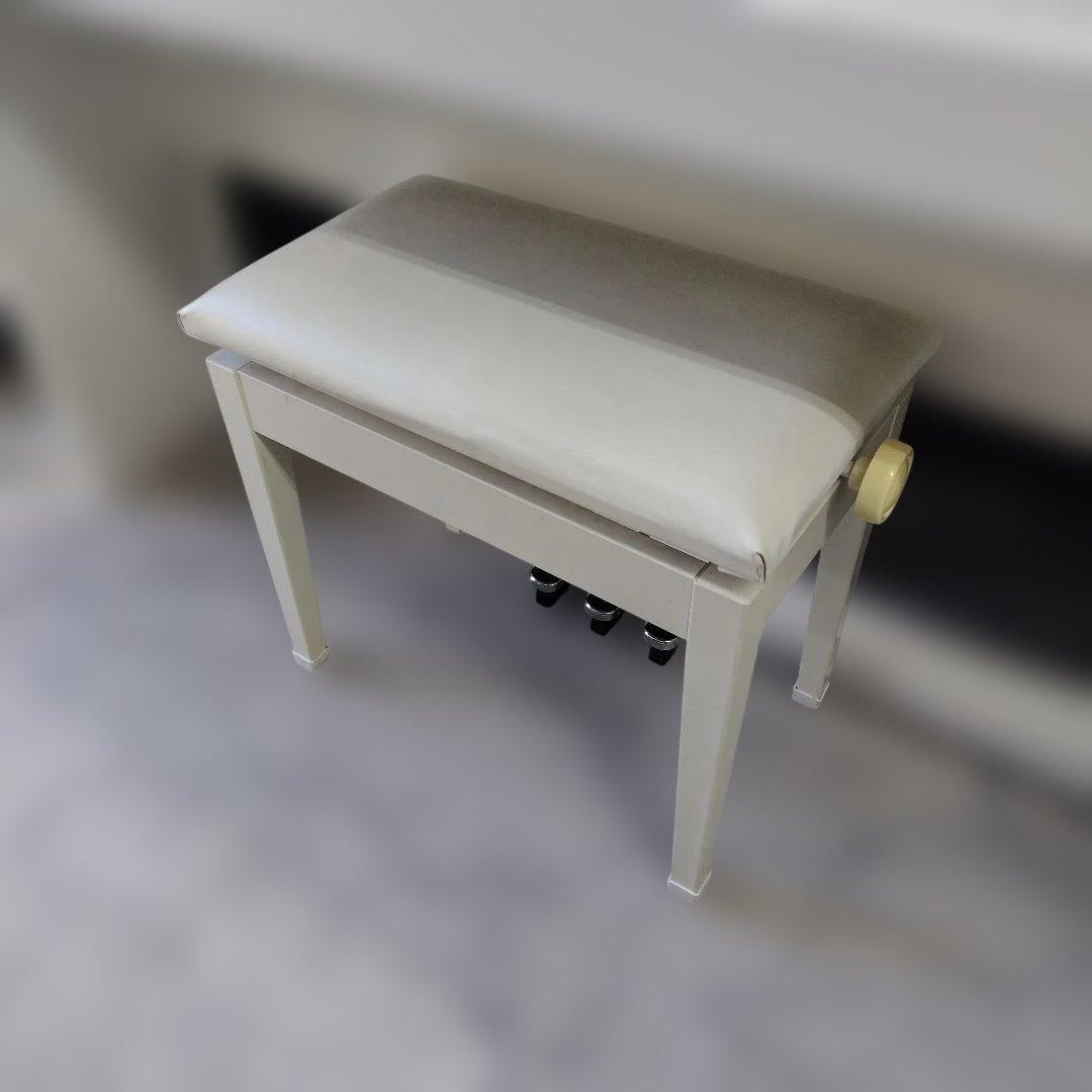 【関東配送相談可能】PX-760WE CASIO