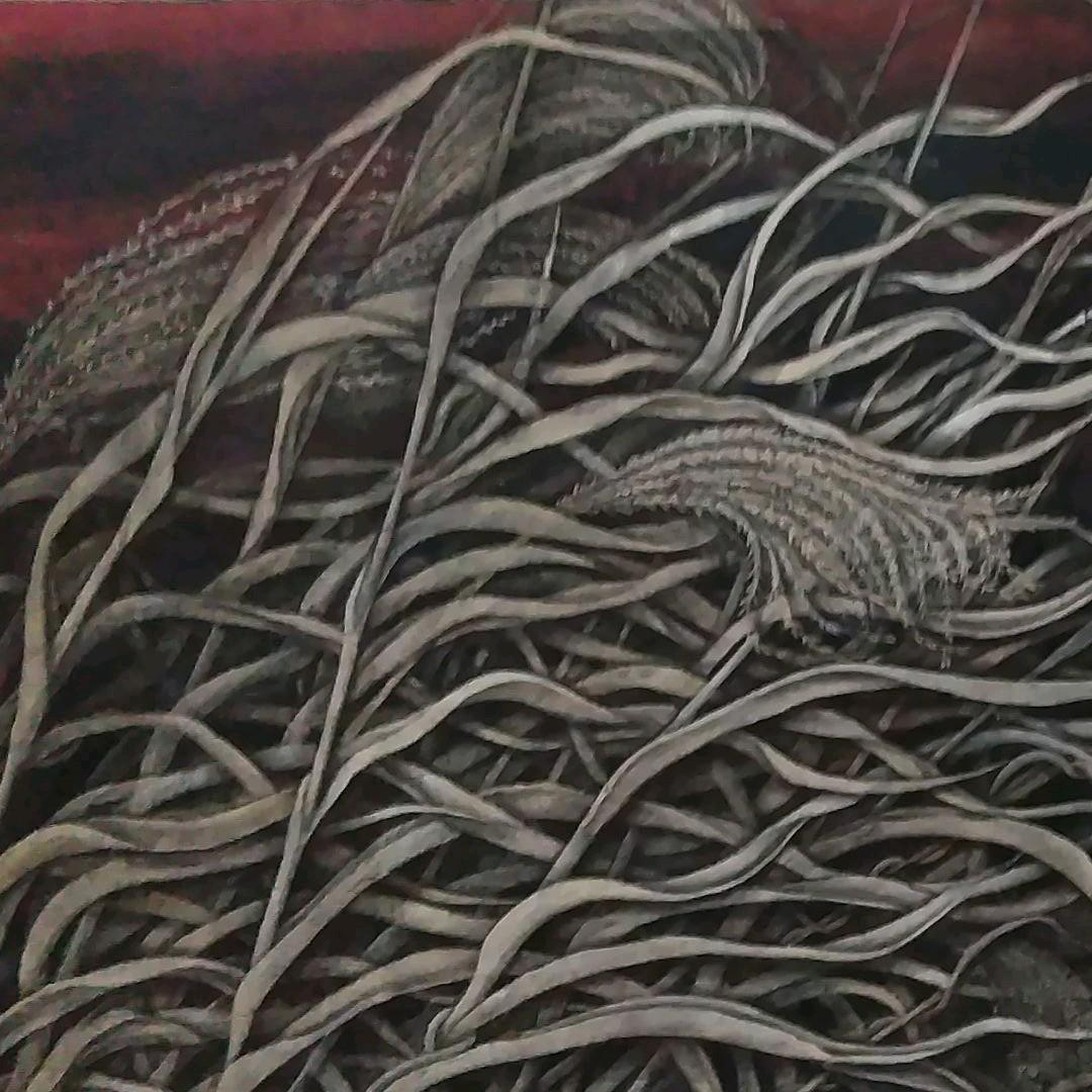 日本画　夕日に燃えるすすき