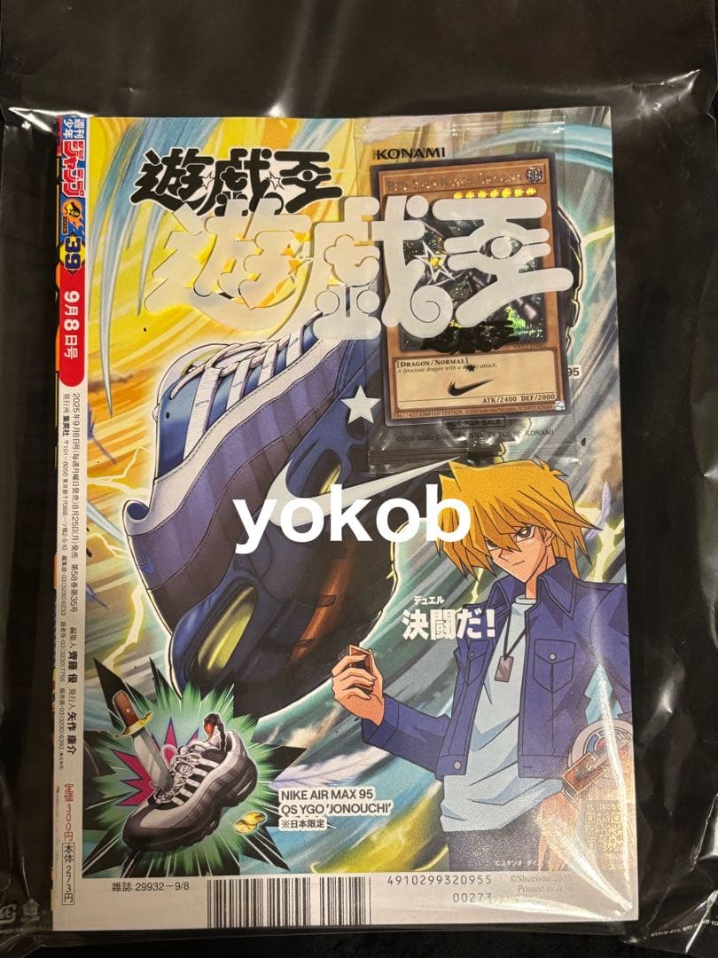 レッドアイズブラックドラゴン　NIKE 遊戯王　シク