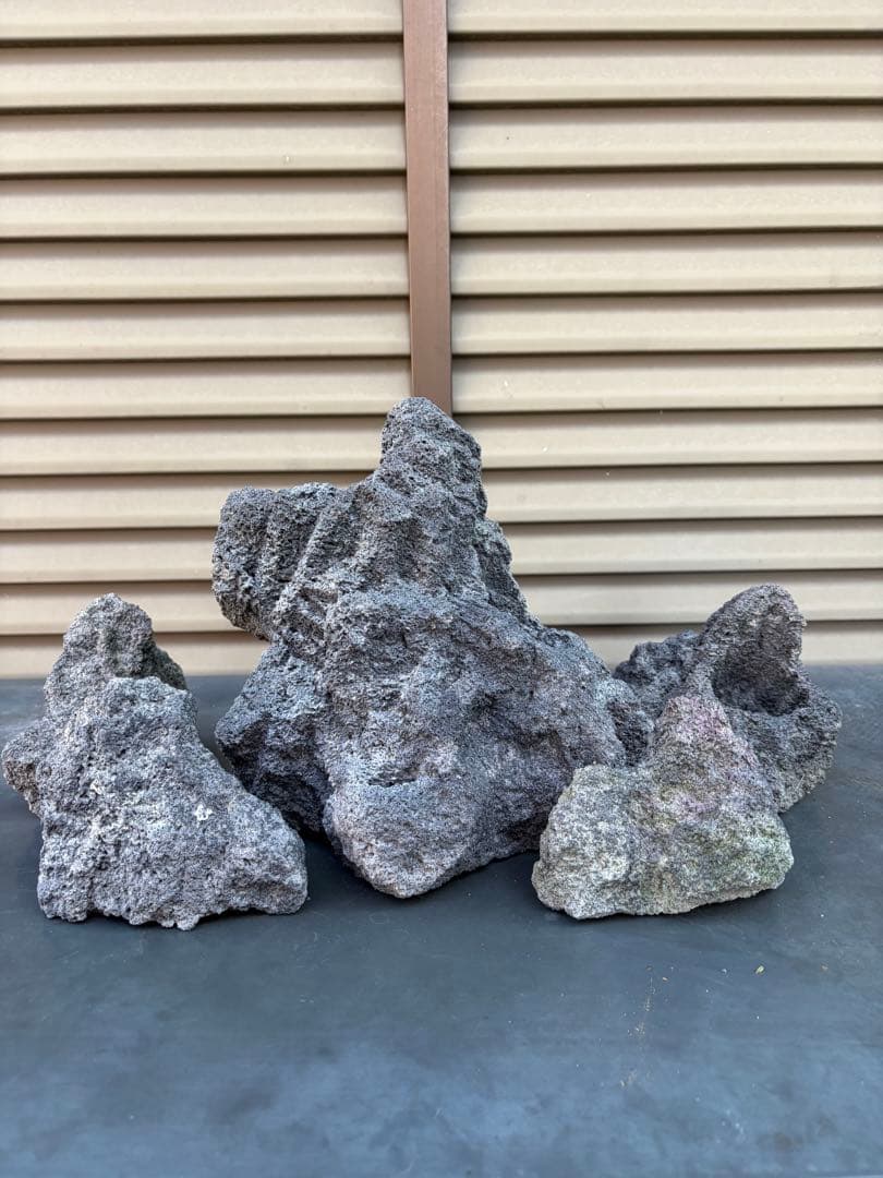 ADA雲山石5個セット