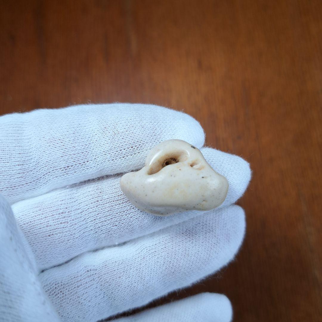 イルカの耳骨【大きさ2.7㎝⑤】