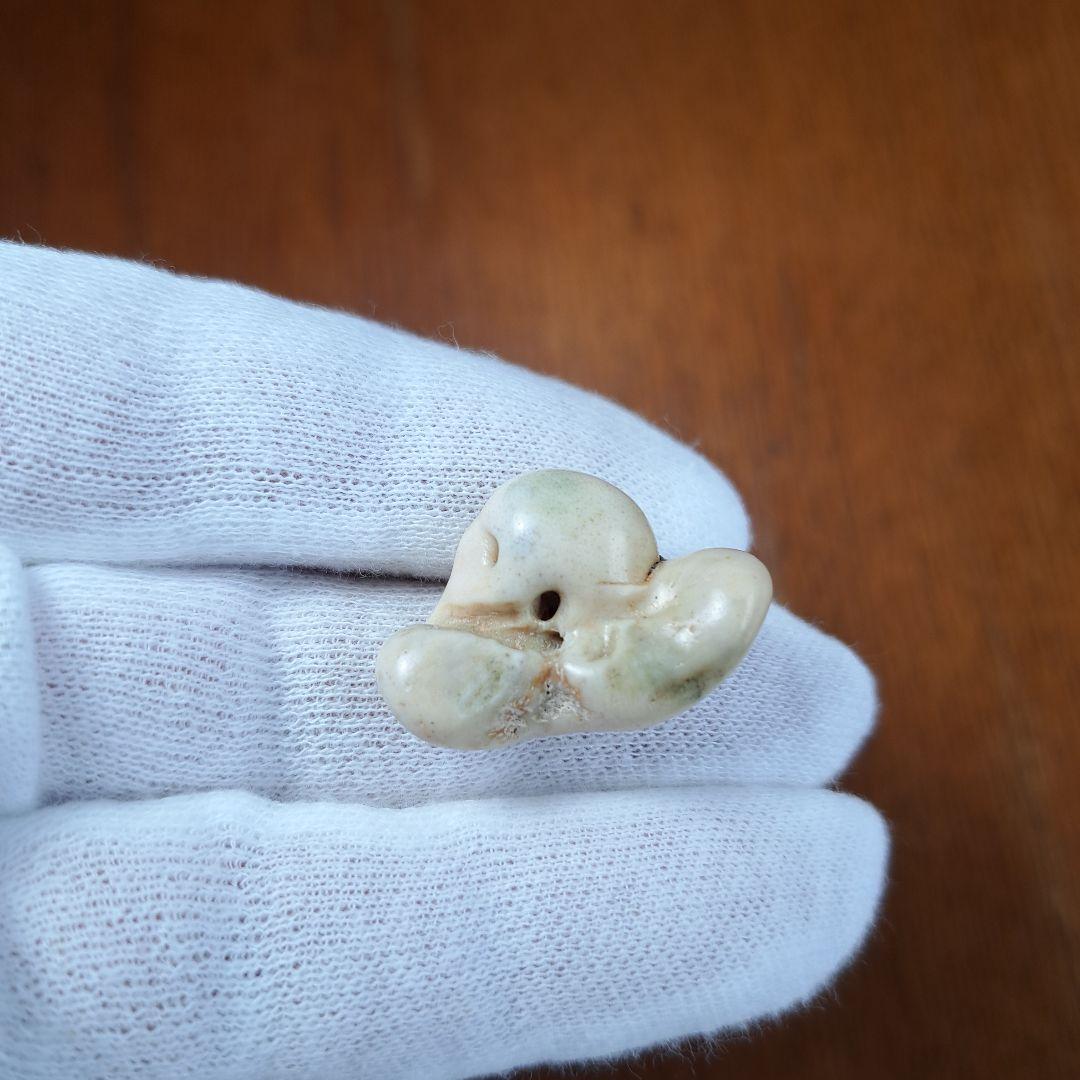 イルカの耳骨【大きさ2.7㎝⑤】