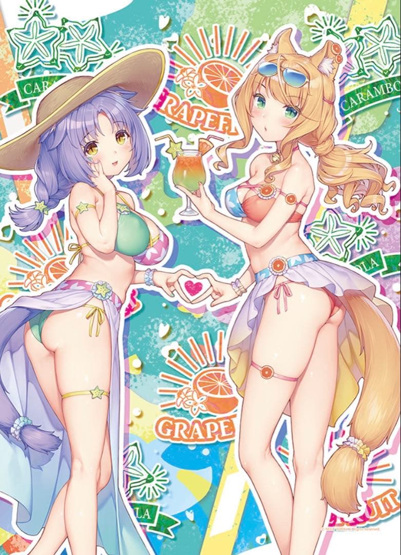 ネコぱら メイプル シナモン 水着ver. B2タペストリー