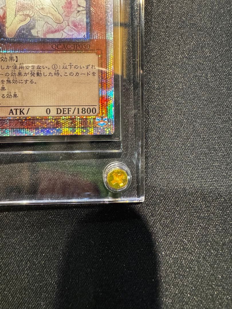 灰流うらら 絵違い 25thクオシク スクリューダウン付き