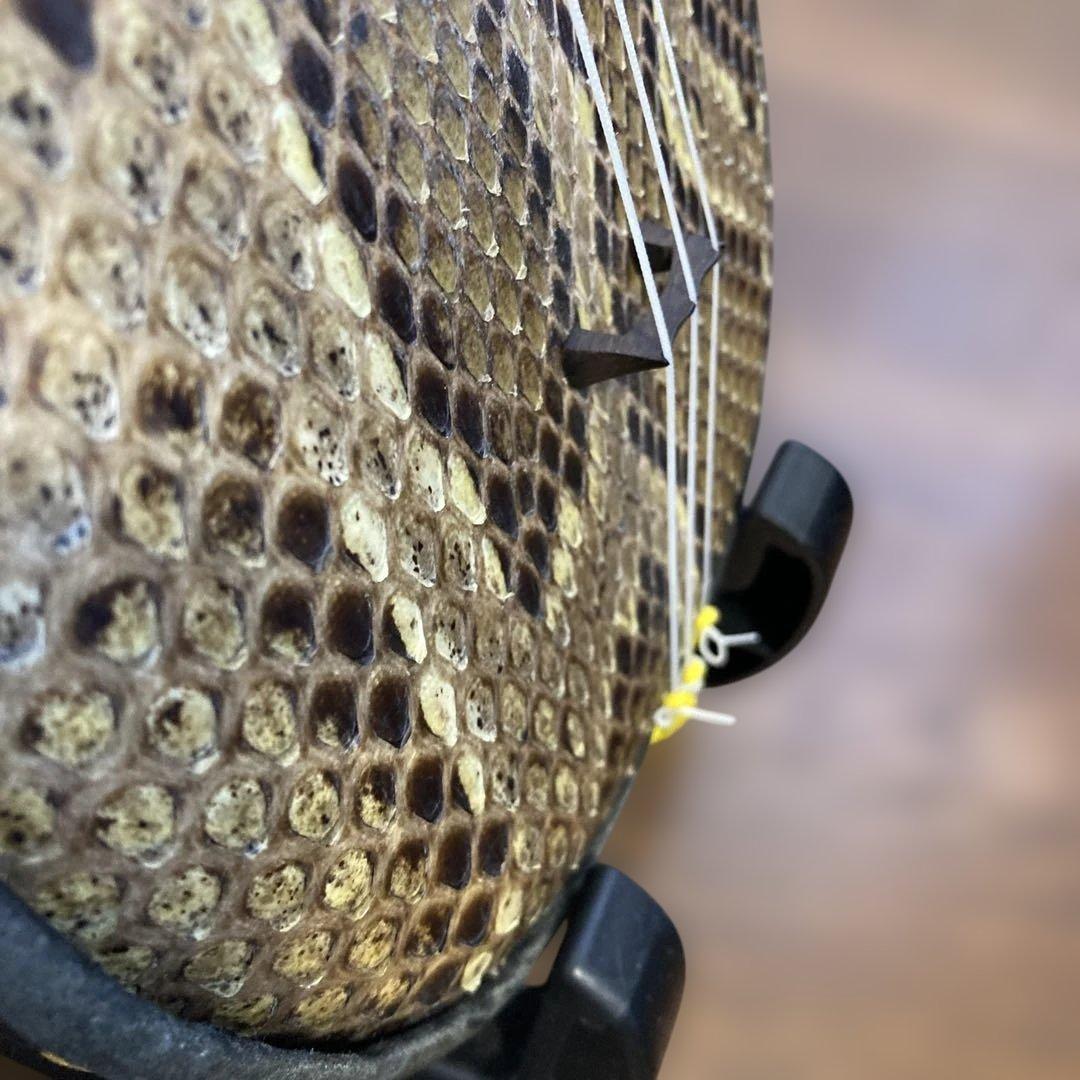 蛇皮強化張り三線本体