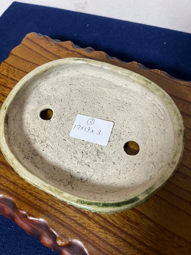 349 盆栽　盆栽鉢　植木鉢　和鉢　忠寛