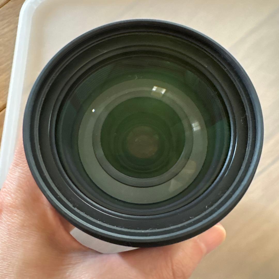 レンズ(ズーム) Nikon AF-S NIKKOR 28-300mm f/3.5-5.6G ED