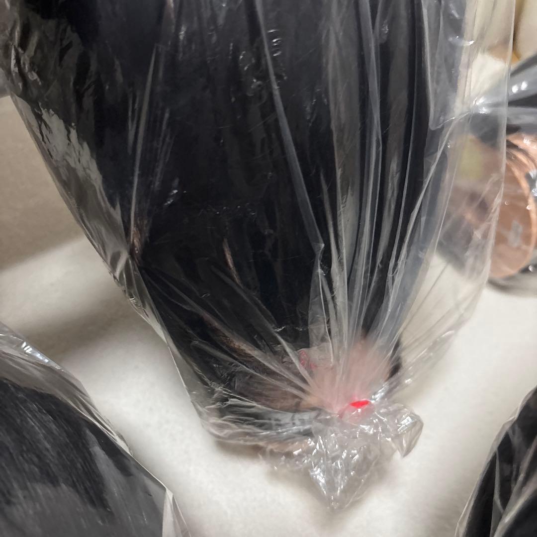 美容国家試験　本番用ウィッグ　7体　カットウィッグ