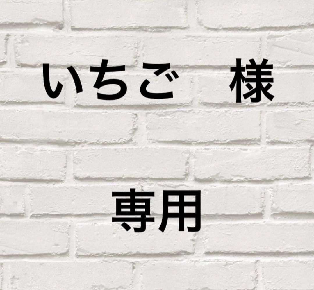 いちご様　確認用　5点