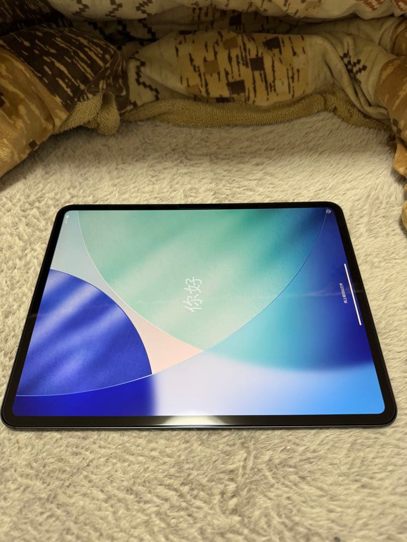 iPad Pro M5 13インチ(純正ケース付き)