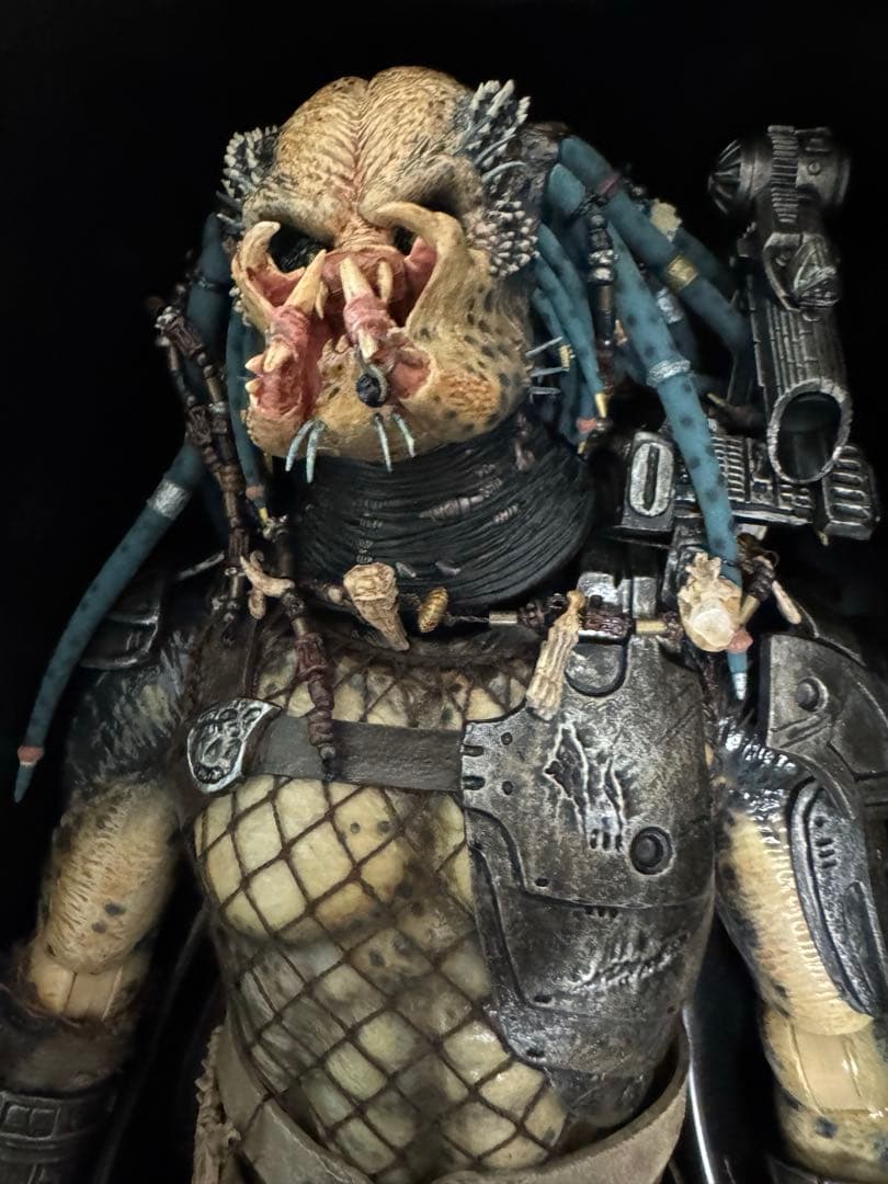 ❗️最安値　毎日値下げ❗️ ホットトイズ　エルダー　プレデター　2.0