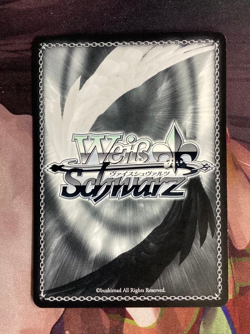 WS 戦いの外の日々 エルザ SSP