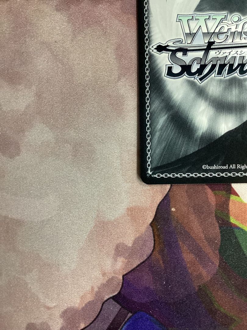 WS 戦いの外の日々 エルザ SSP