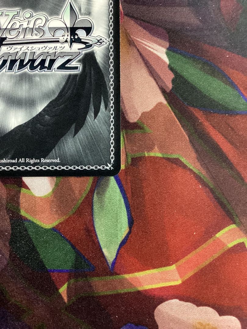 WS 戦いの外の日々 エルザ SSP