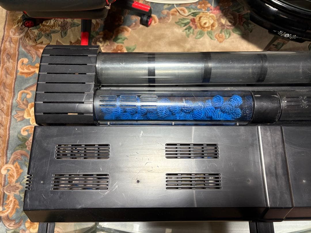 大きな水槽 蛍光灯照明付き